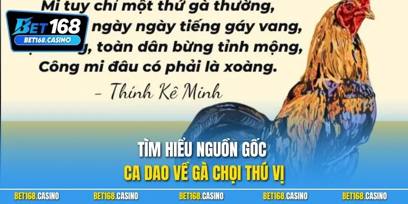 Tìm hiểu nguồn gốc ca dao về gà chọi thú vị